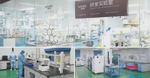 品質創新研發，鑄就輝煌——東莞膜材涂布廠的能源技術新篇章